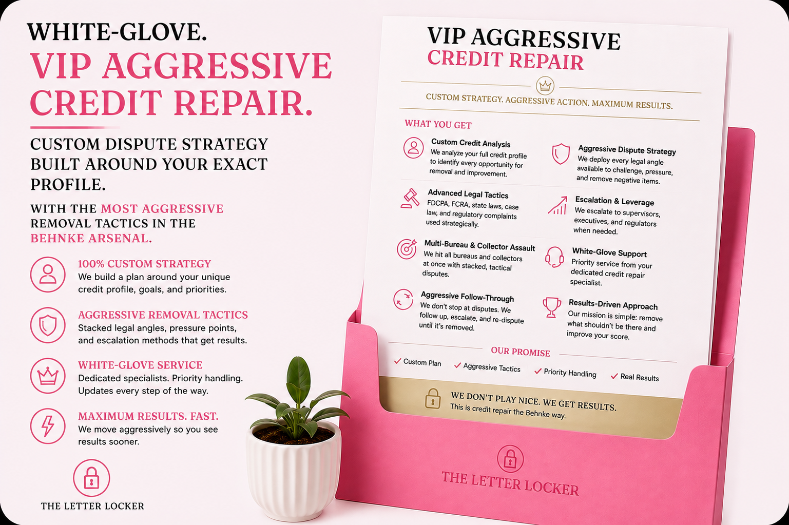 VIP Aggressive Credit Repair