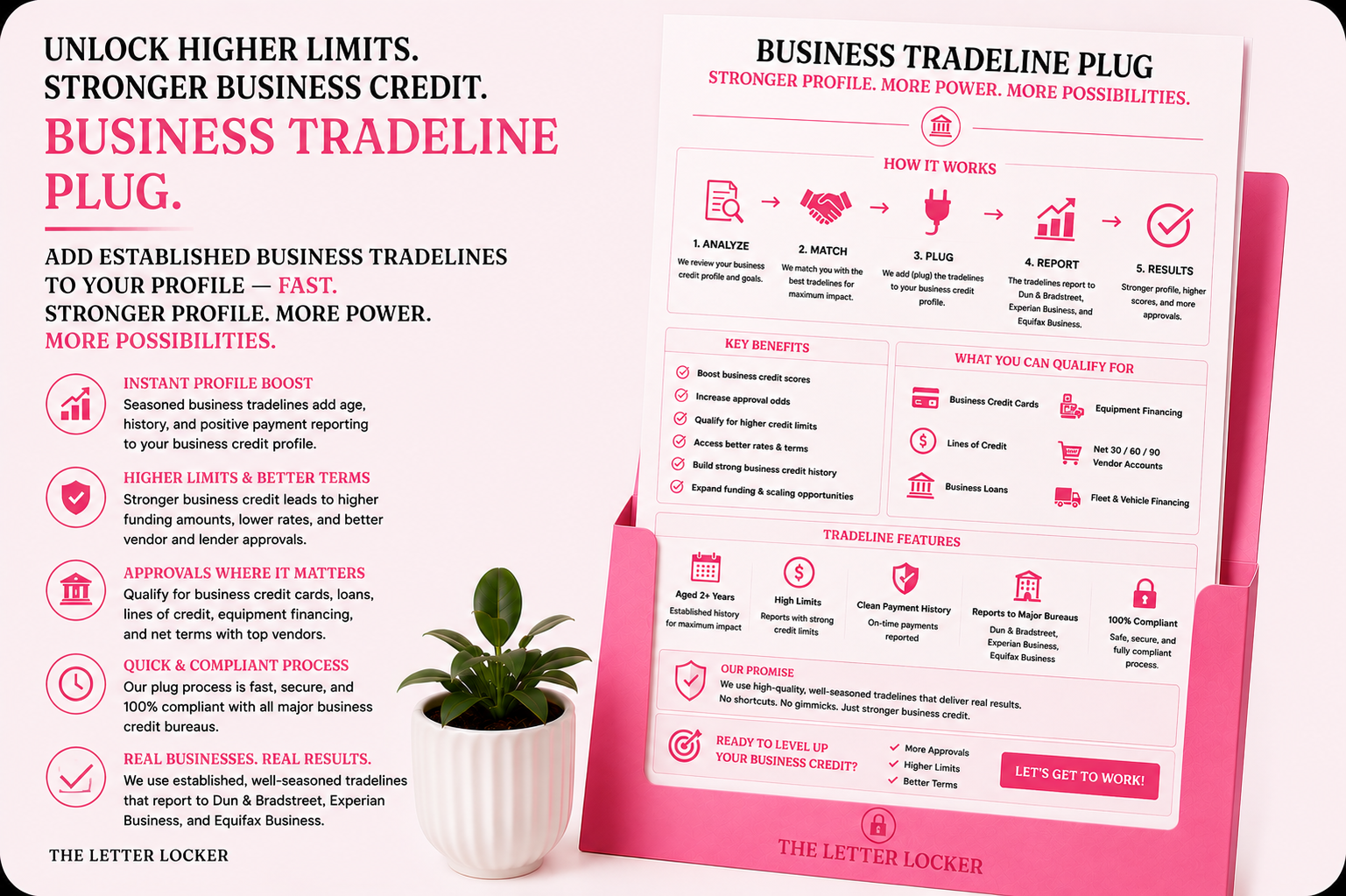 Business Tradeline Plug
